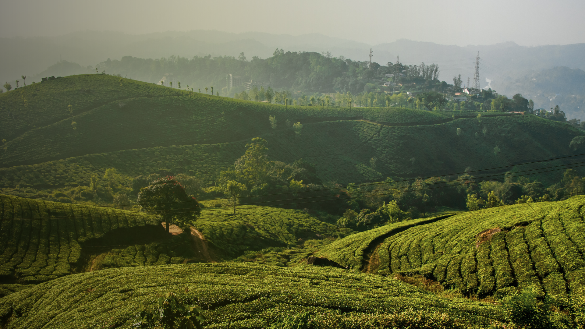 Kerala Tour Packages