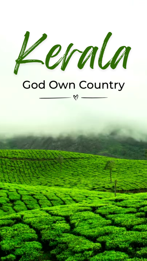 untitled design (51)