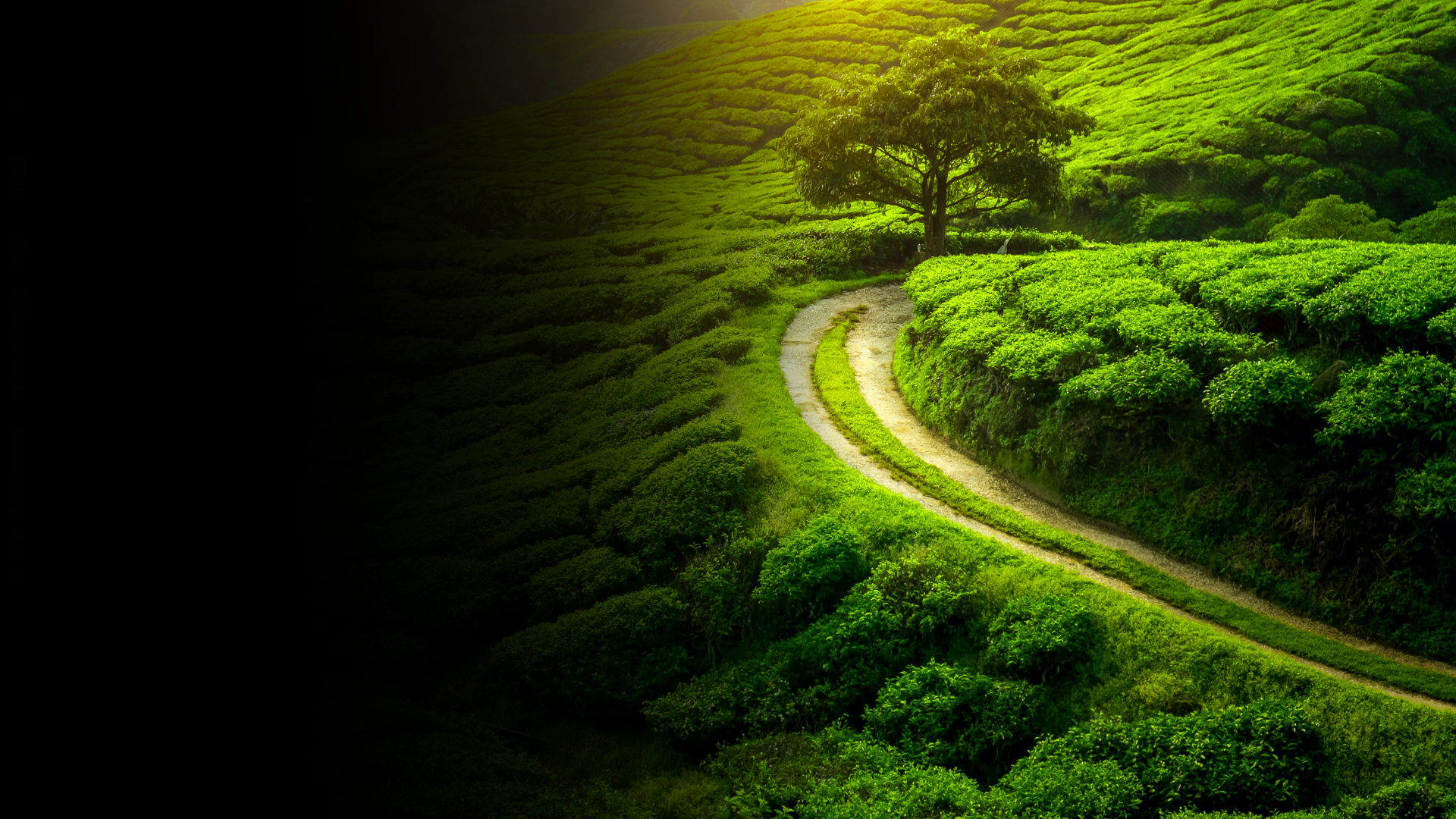 untitled design (53)