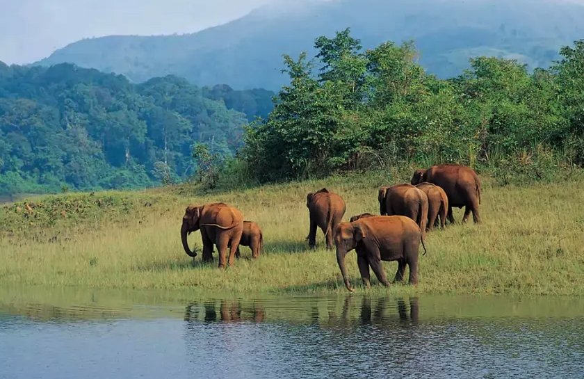 big 220925112010periyar np